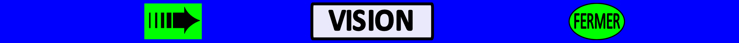 Vision ensemble 1