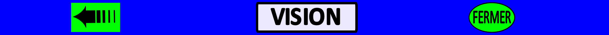 Vision ensemble 3